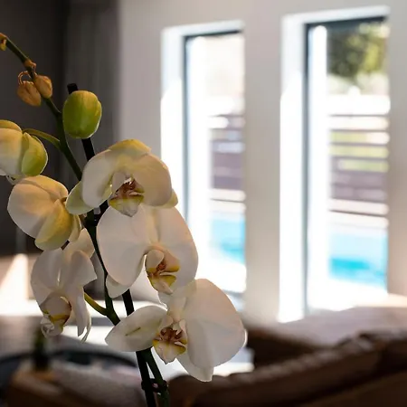 Marcante Family With A Pool Apartman Porec