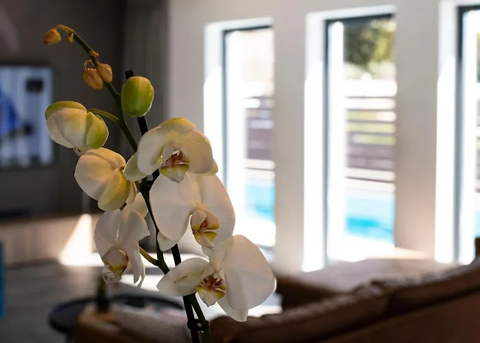 Peaceful Family In Apartment Porec